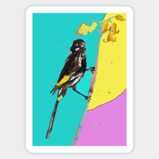 Australian Honeyeater Bird Painting - New Holland on Aqua and Yellow Sticker